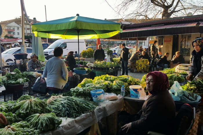 Processed with VSCO with g3 preset