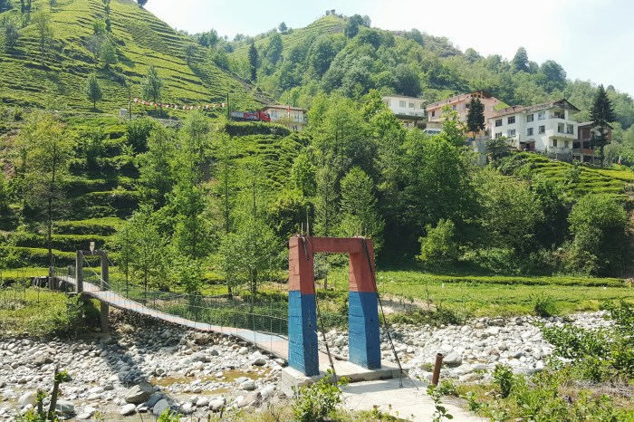 Processed with VSCO with f2 preset