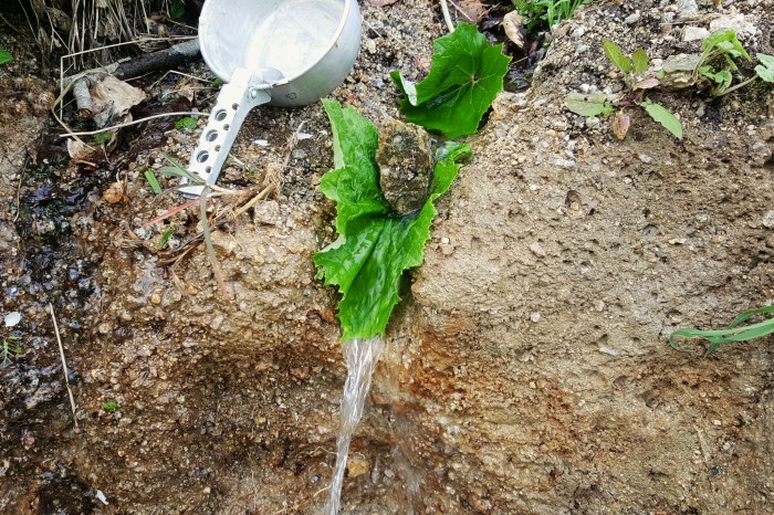 Processed with VSCO with nc preset