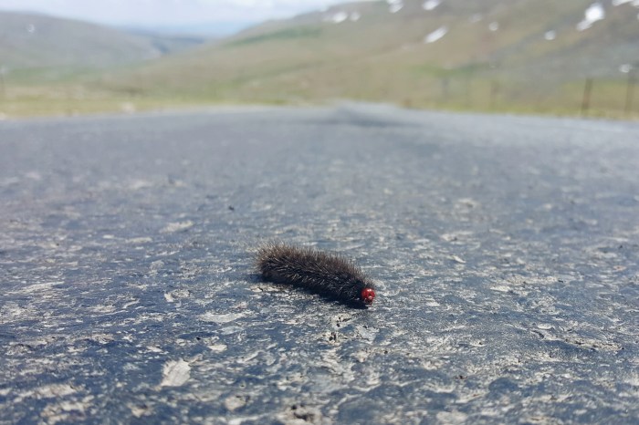 Processed with VSCO with a5 preset