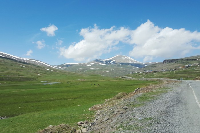 Processed with VSCO with f2 preset