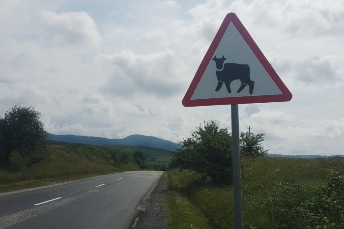 Processed with VSCO with f2 preset