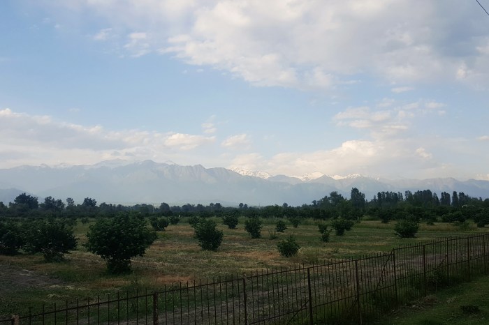 Processed with VSCO with nc preset