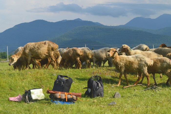 Processed with VSCO with preset