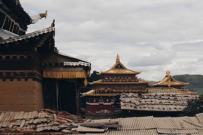 Processed with VSCO with hb1 preset