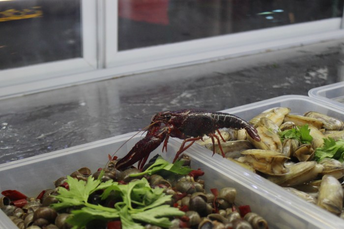 Processed with VSCO with preset