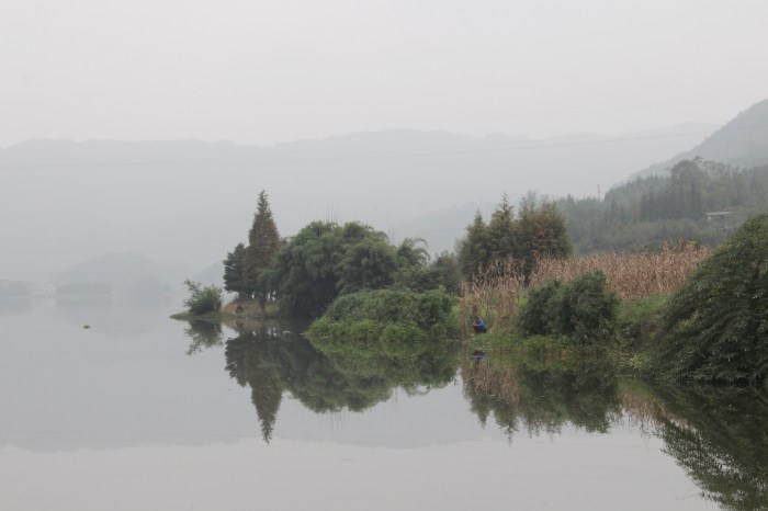 Processed with VSCO with  preset