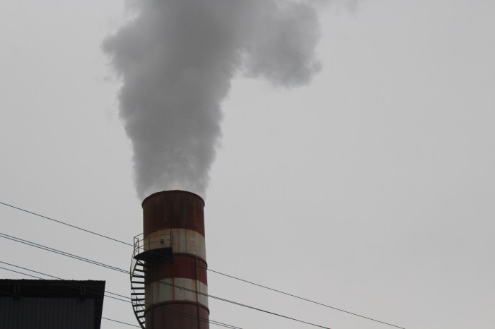 Processed with VSCO with  preset