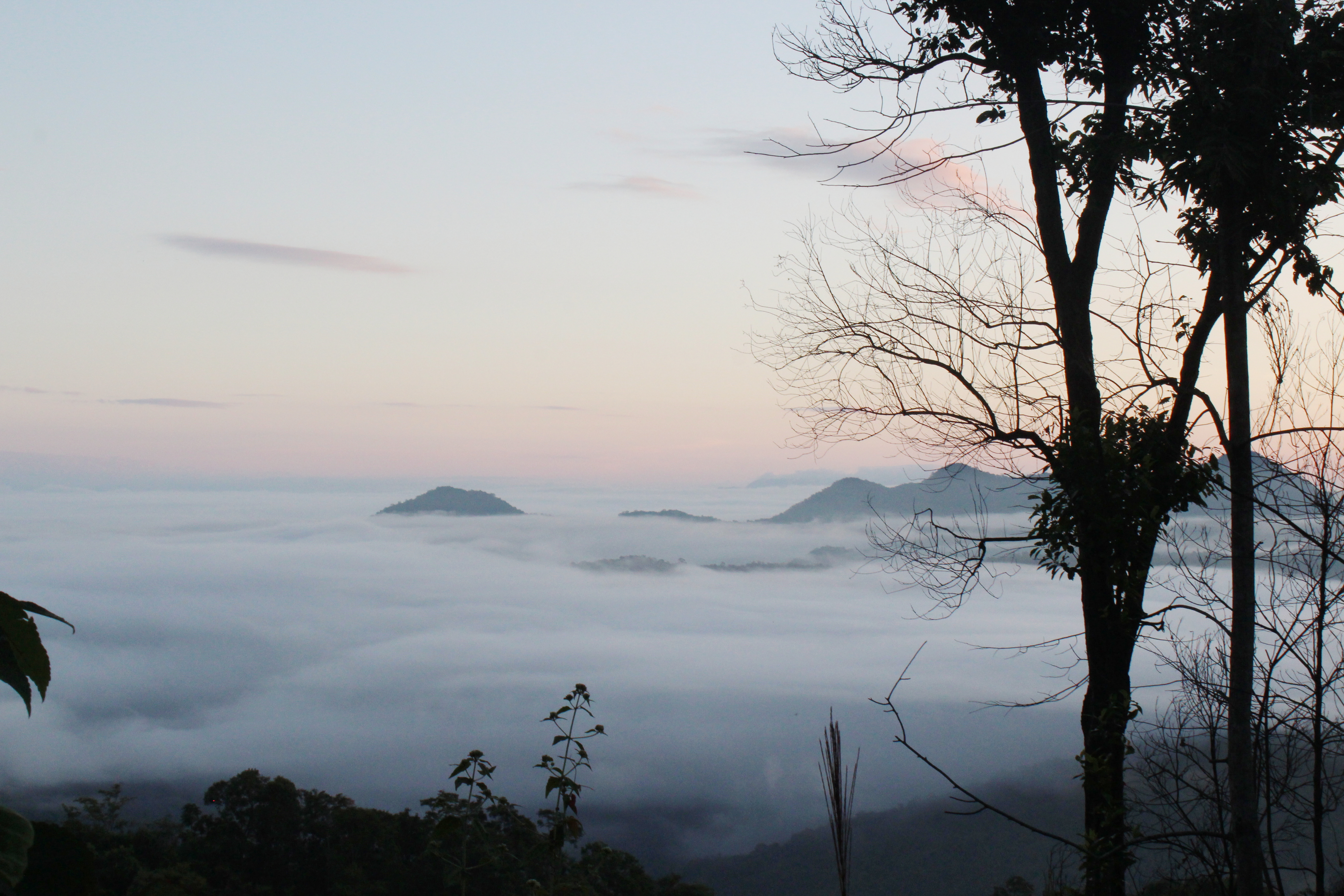 2017-12-03 02.56.56 1.jpg