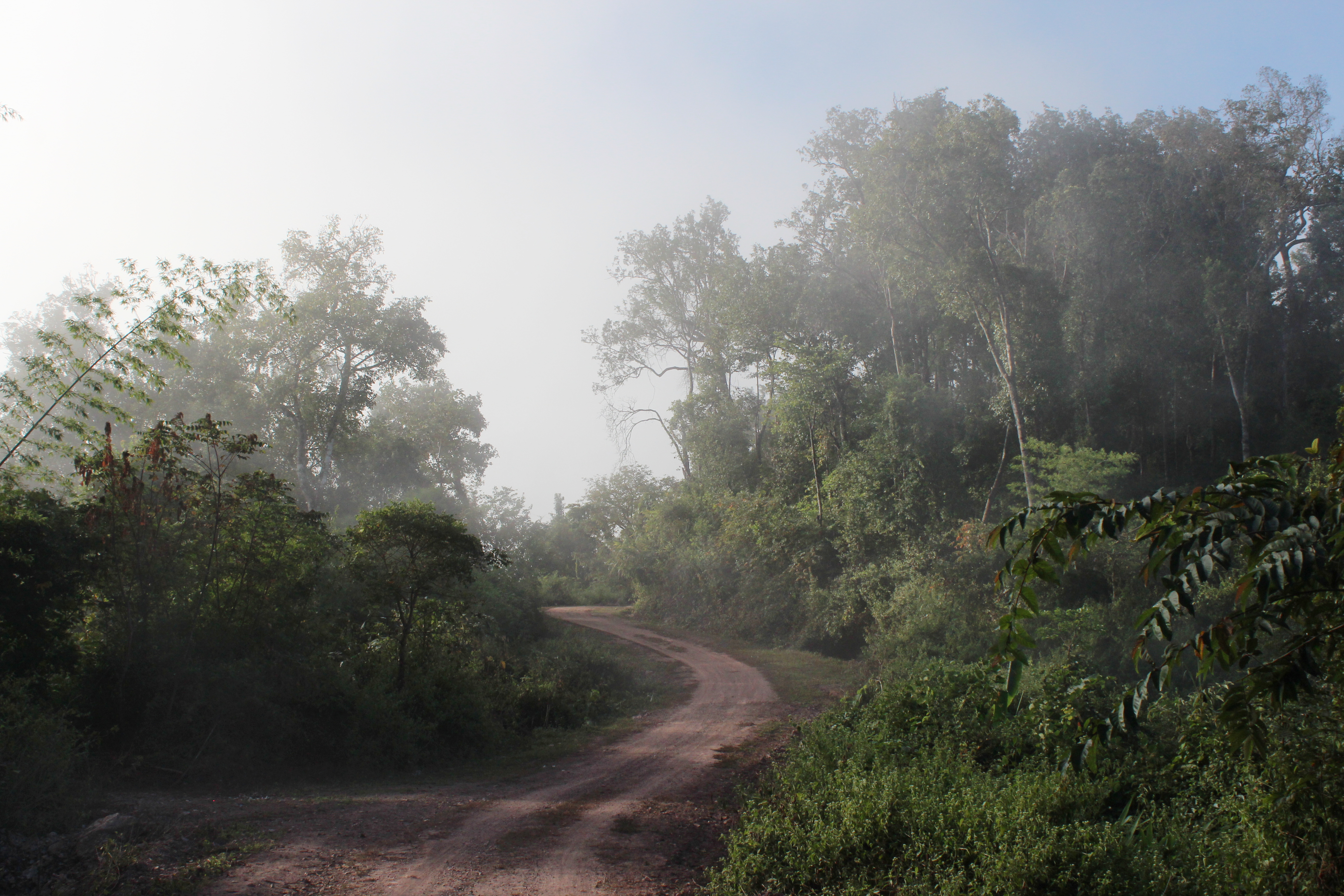 2017-12-03 03.12.15 1.jpg